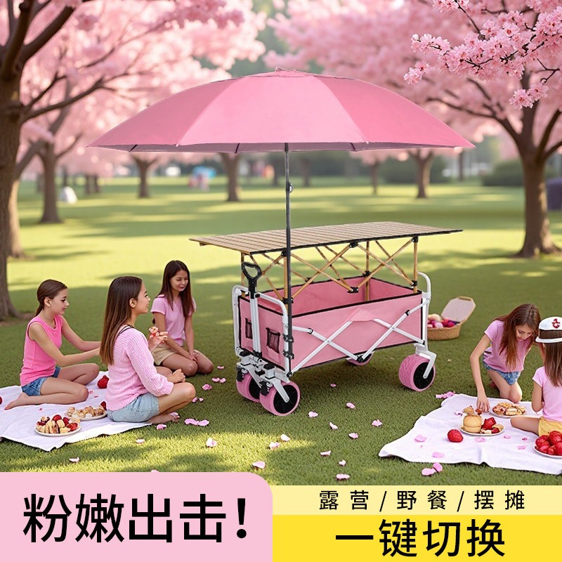 Pink Camper Folding Stall Trol - Car Accessories You Must Have avis et prix