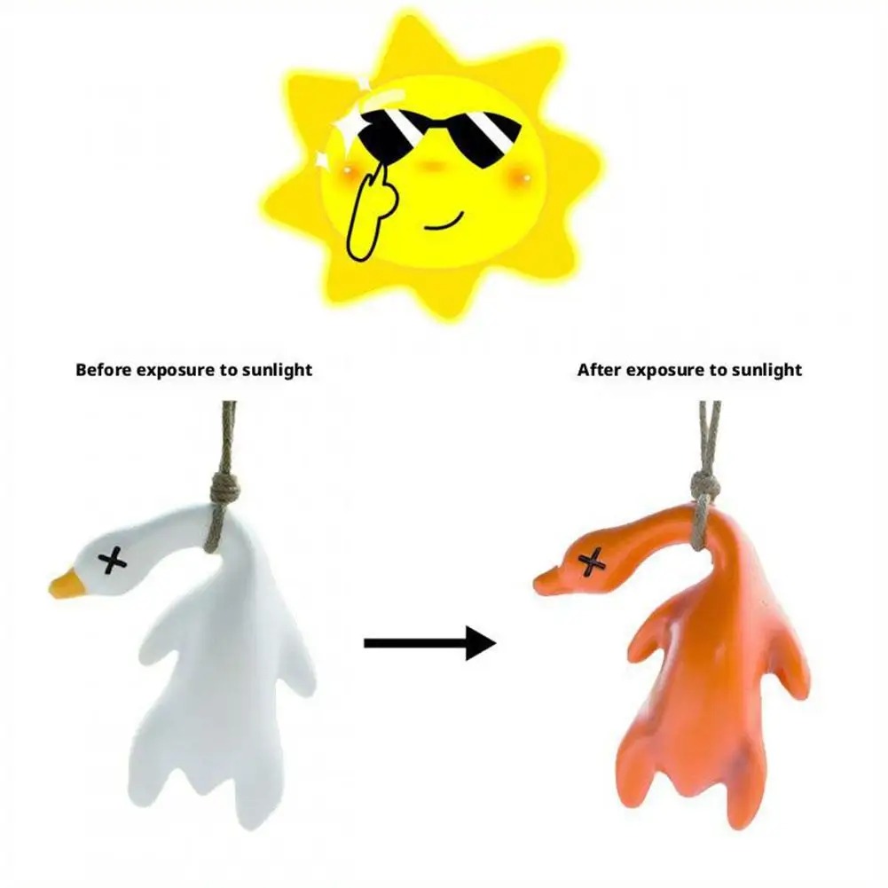 Color Change Duck Car Ornament - Car Blind Spot Mirror avis et prix